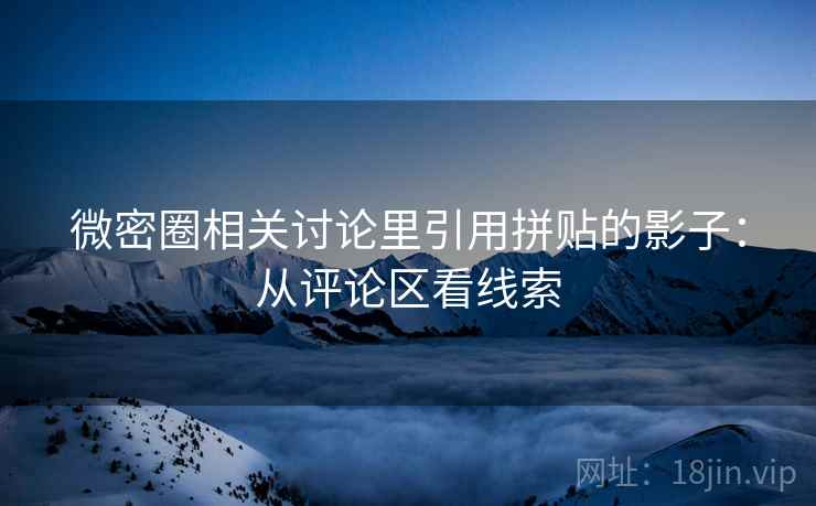 微密圈相关讨论里引用拼贴的影子：从评论区看线索